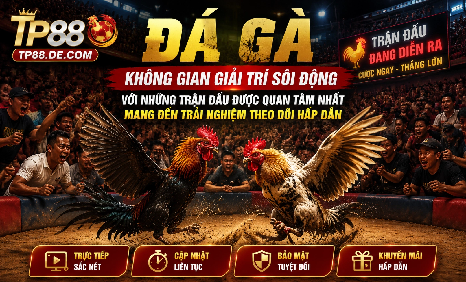 Phòng live Đá Gà TP88 1