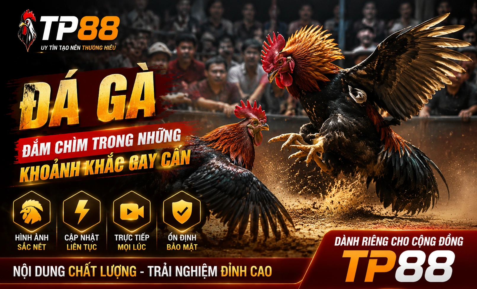 Phòng live Đá Gà TP88 2
