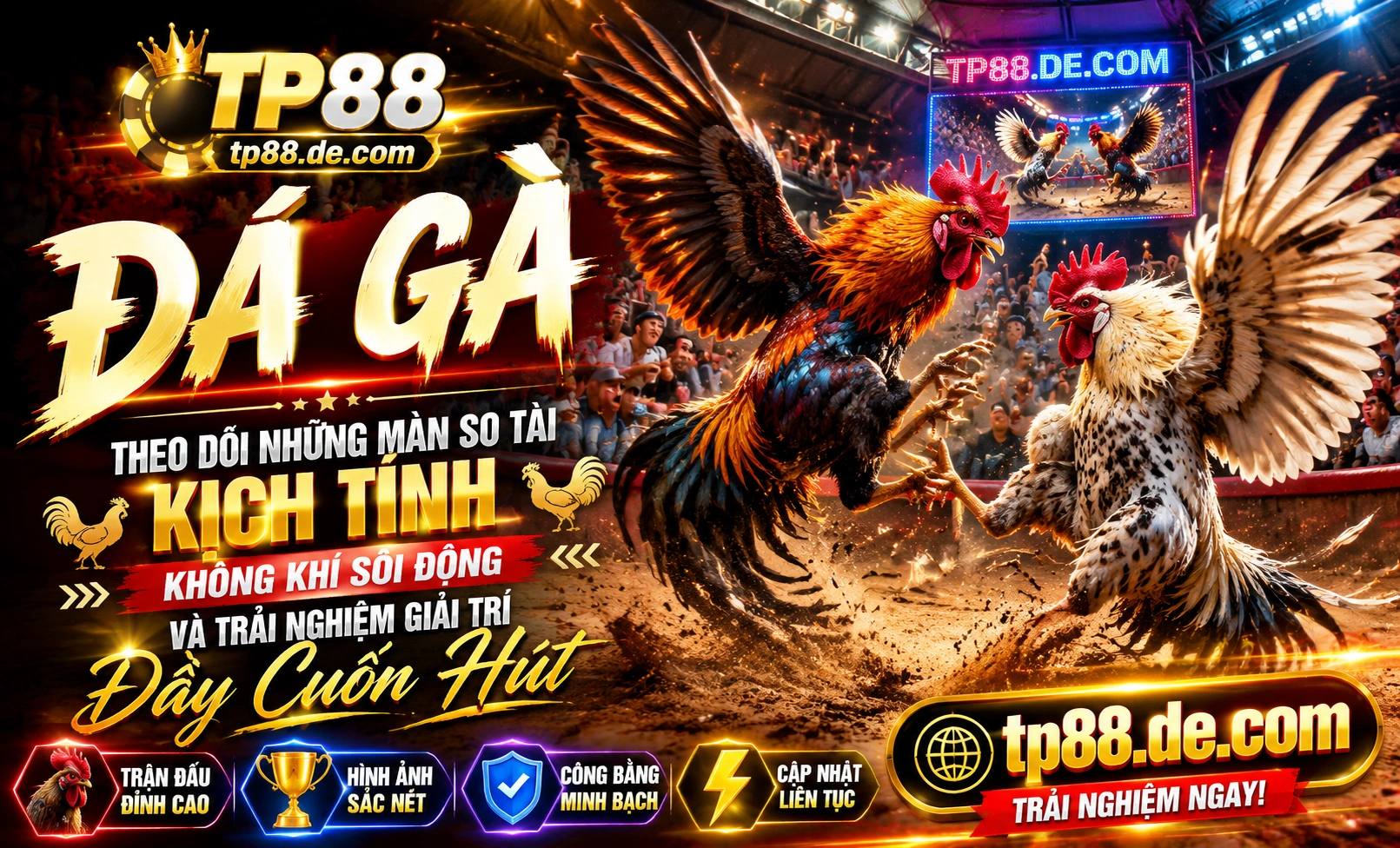 Phòng live Đá Gà TP88 3